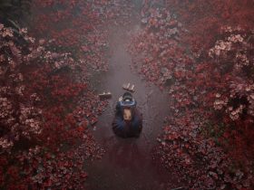 Silent Hill f