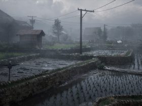 Silent Hill f